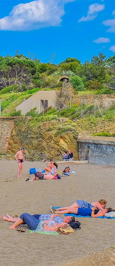 anse de paulilles plages exceptionnelles