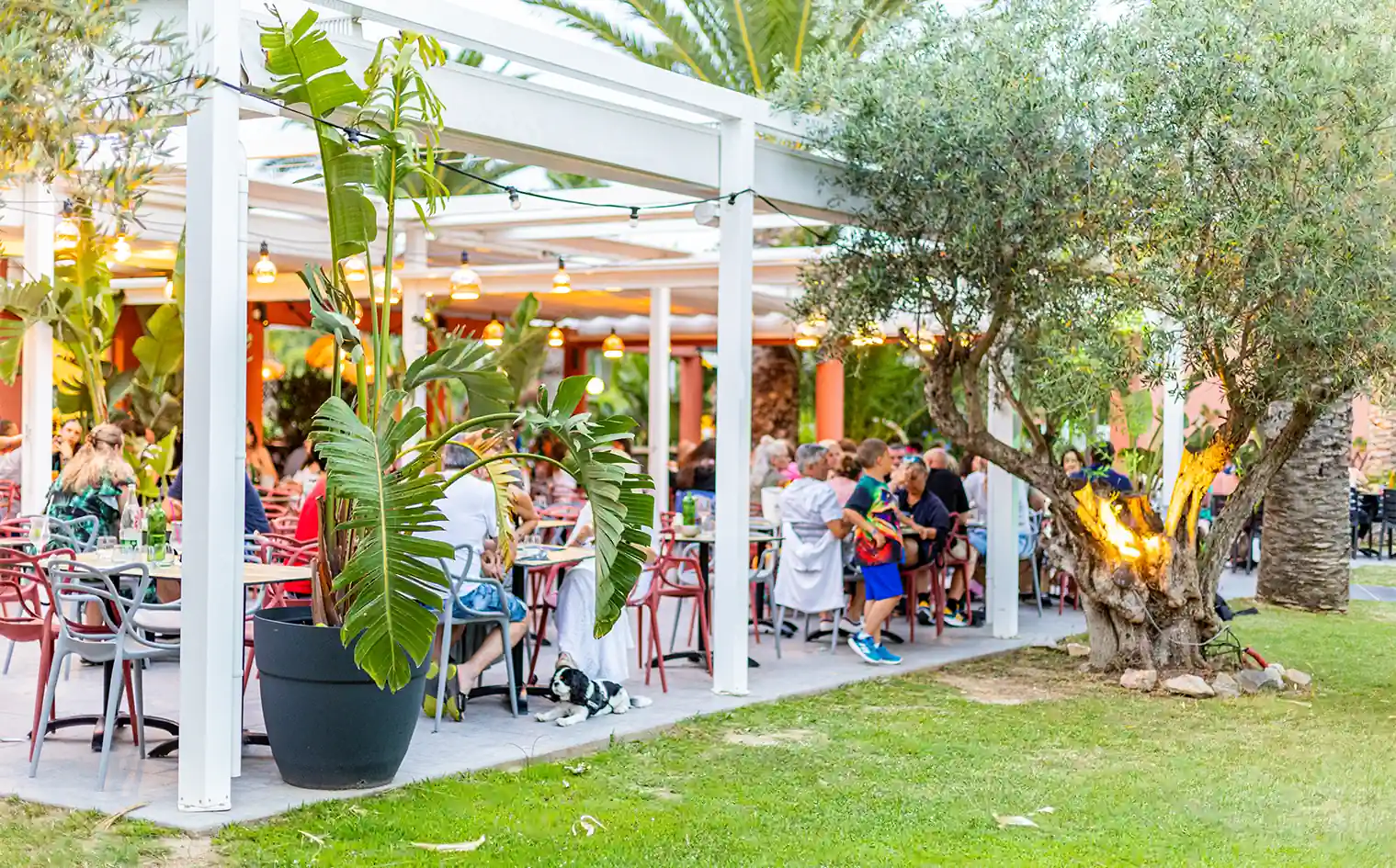 antinea smakelijke vakantie in het restaurant met mediterrane keuken in argeles sur mer