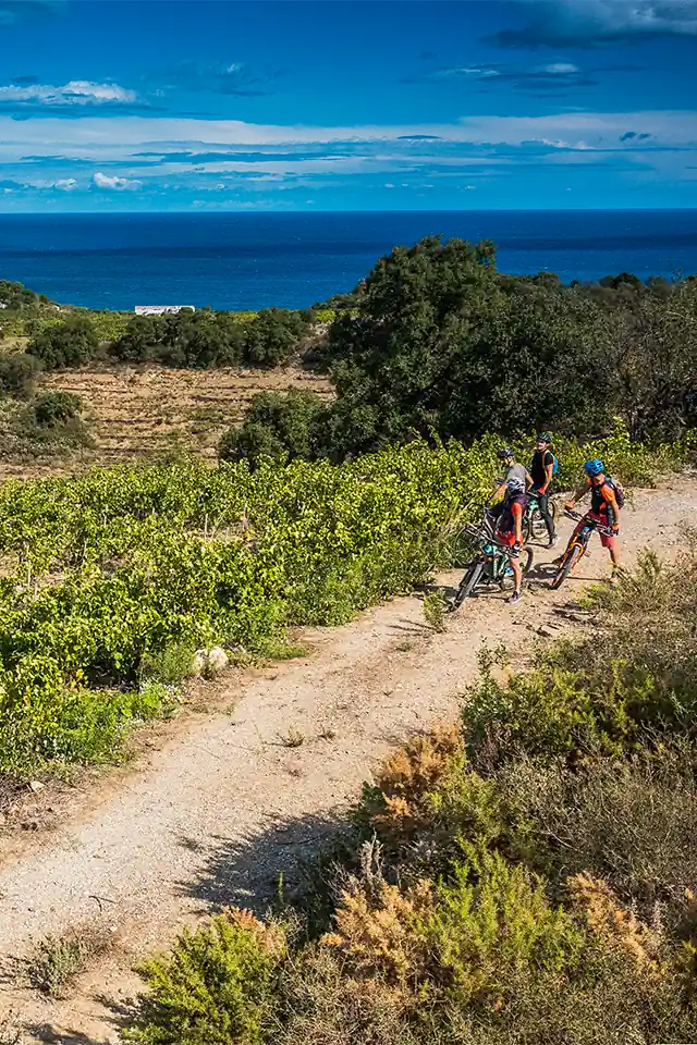 the best things to do on vacation
